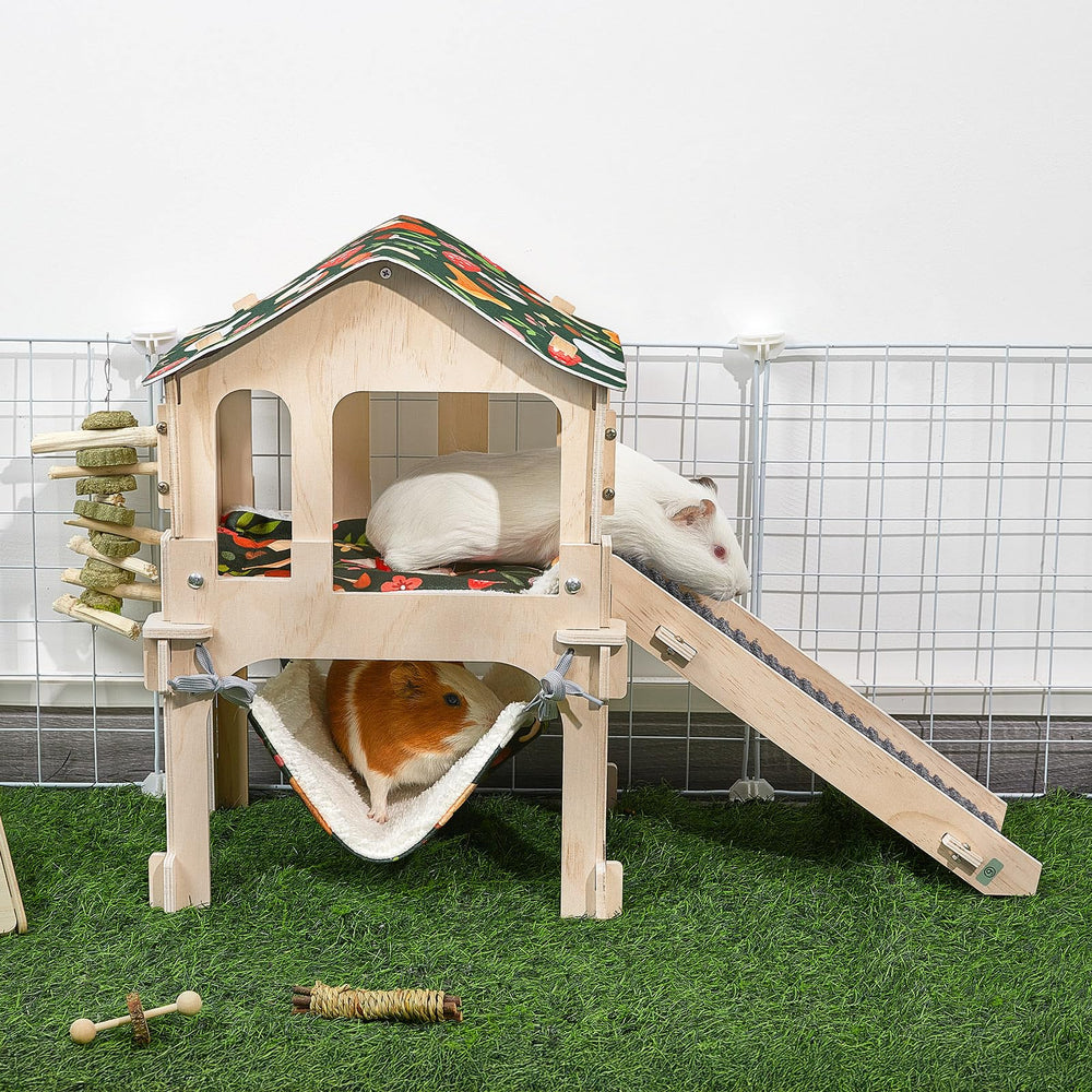 Bienbee casa cobaya con dimensiones 11-8-17 pulgadas para varias especies