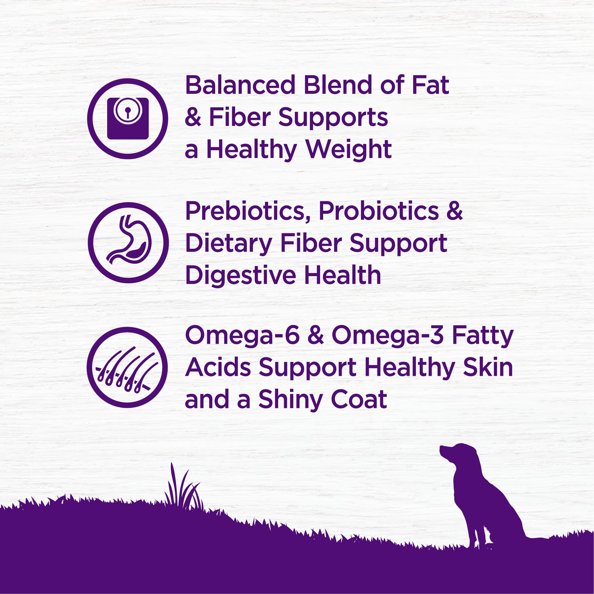 Wellness Complete Health: alimento seco que apoya digestión y dientes sanos.