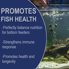 BIG KAHUNA TROPICAL FISH: dieta completa y balanceada para plecos