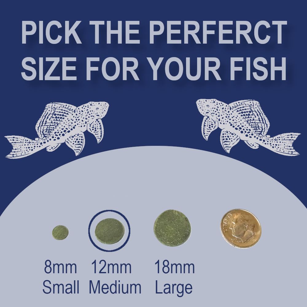 BIG KAHUNA TROPICAL FISH: envase recerrable para conservar la frescura entre comidas