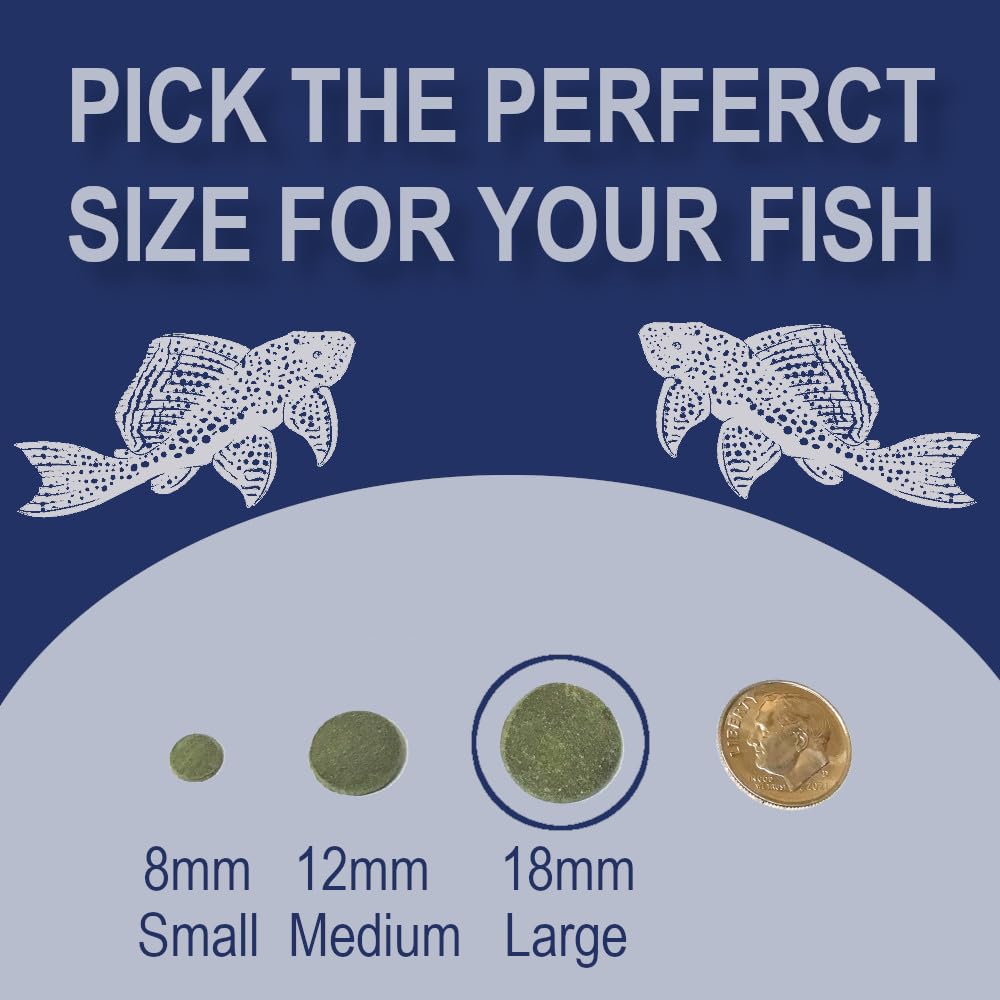 BIG KAHUNA TROPICAL FISH galletas-para-caracolas: alimento suave para caracolas.