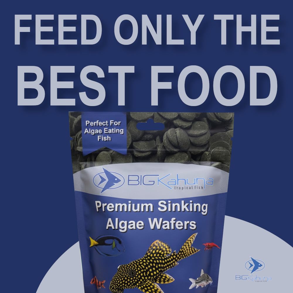 BIG KAHUNA TROPICAL FISH: dieta pleco con nutrientes para color y vitalidad