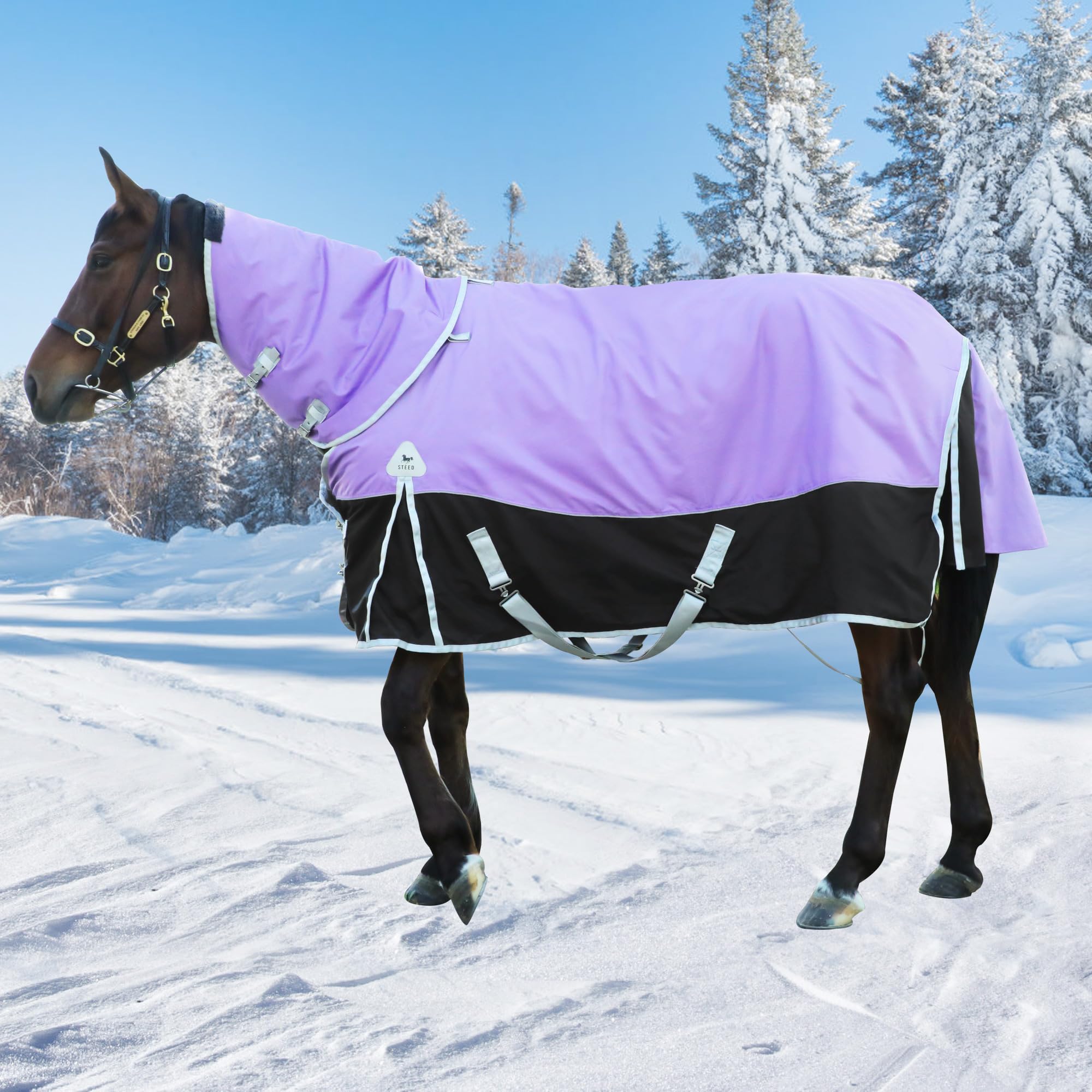 Manta BIGANTTOW para caballo invierno 72 pulgadas protege contra el frío.