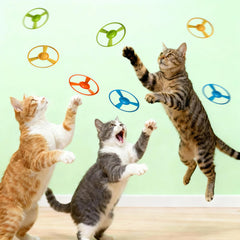 Bigpomelos Discos de Lanzamiento para Gato: ideales para juego y caza en interior.