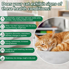BiKontrun Desparasitante para gatos: dosis diaria mezclada con comida