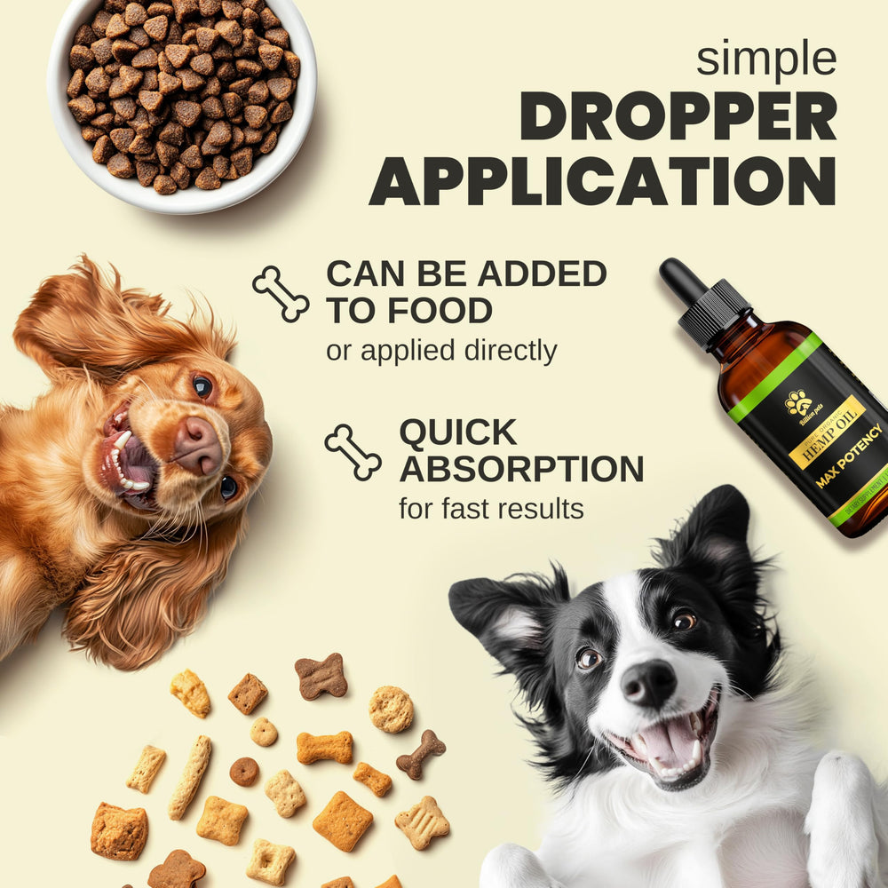 Billion Pets Aceite de cáñamo, mezcla fácil con comida para movilidad.