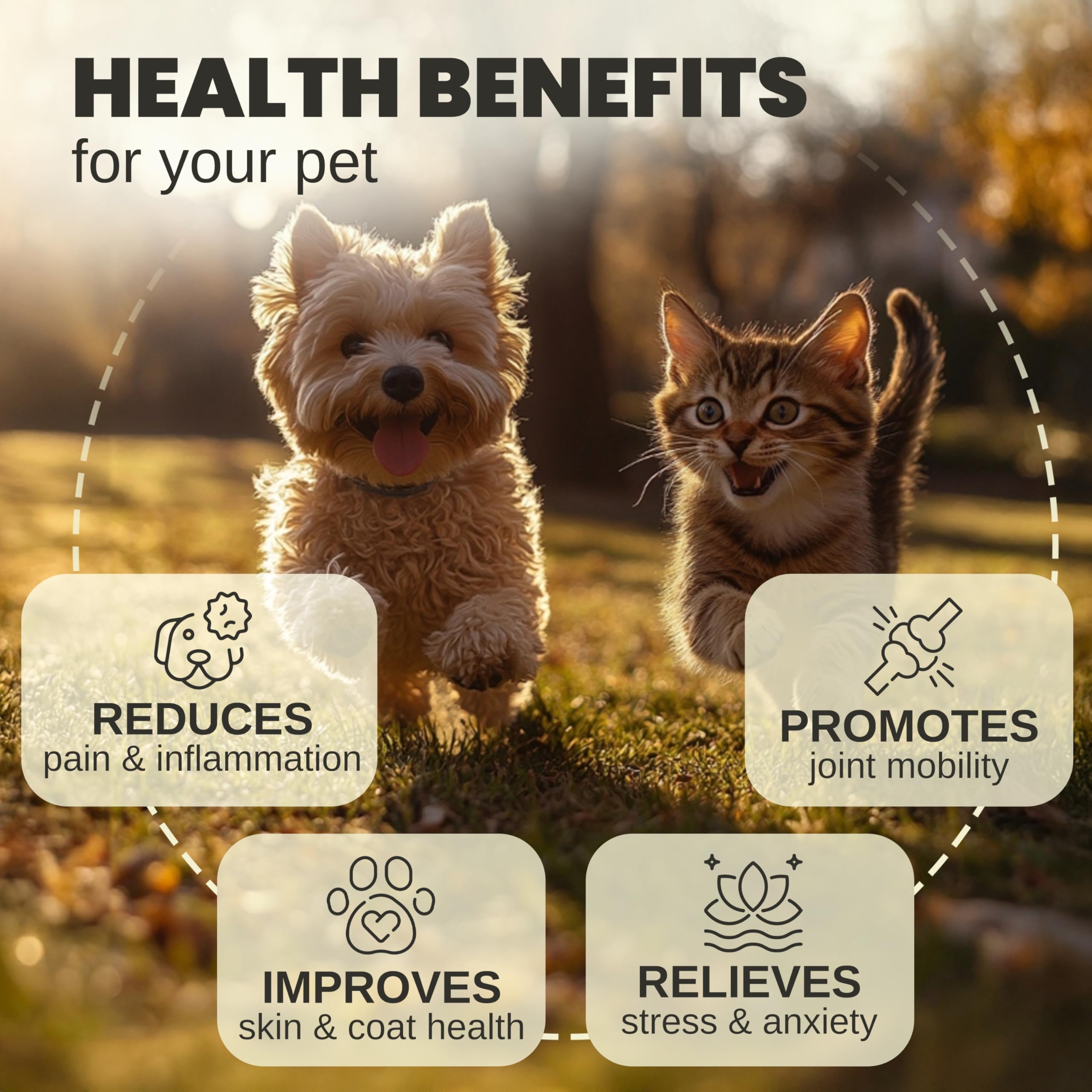 Billion Pets: gotero para administrar aceite de cáñamo con facilidad.