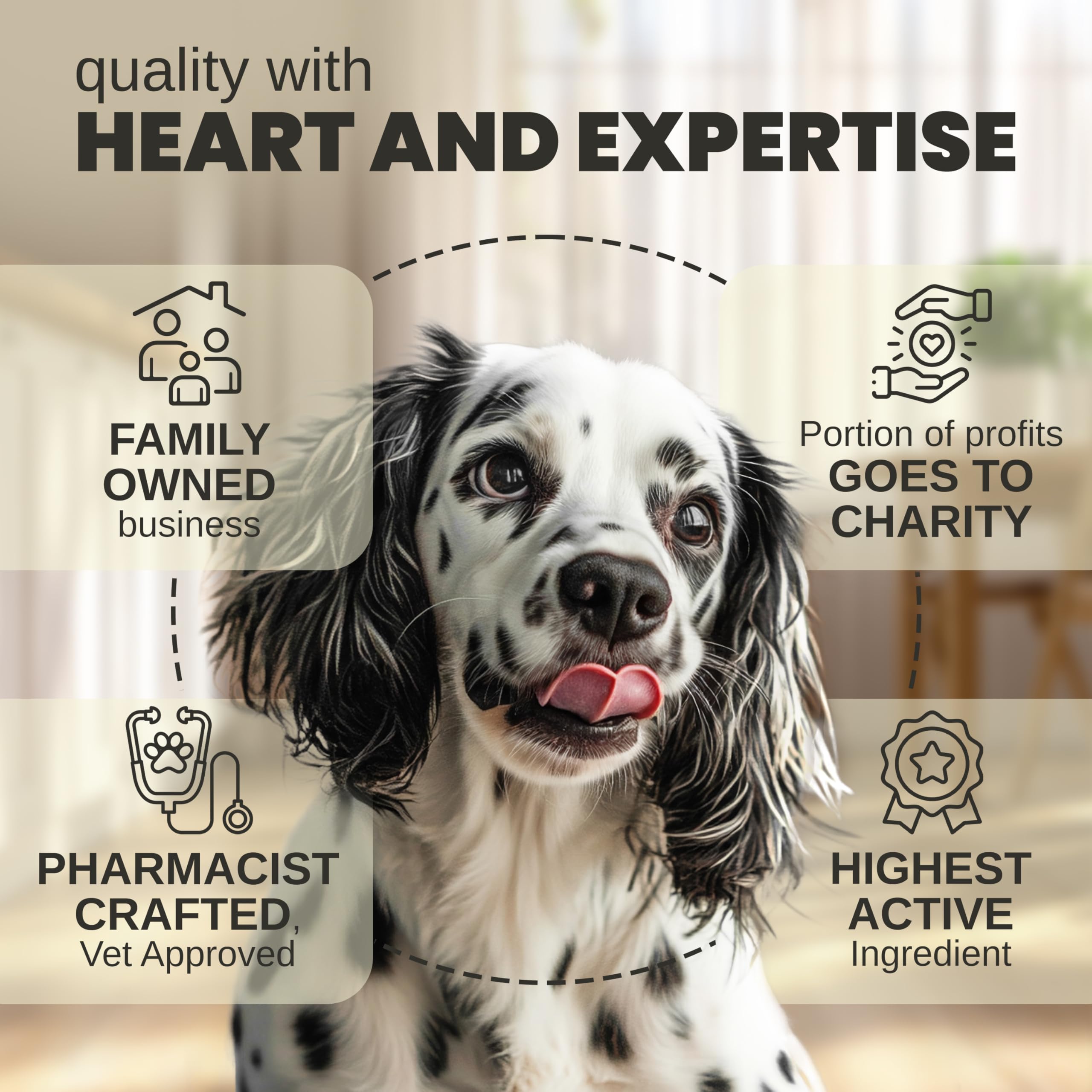 Billion Pets: uso durante viajes para reducir estrés y ansiedad.