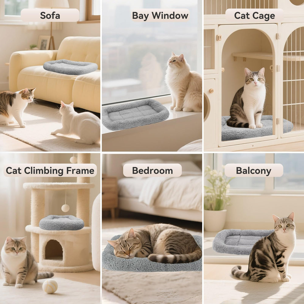 Billionchains cama para gatos lavable a máquina para limpieza rápida.