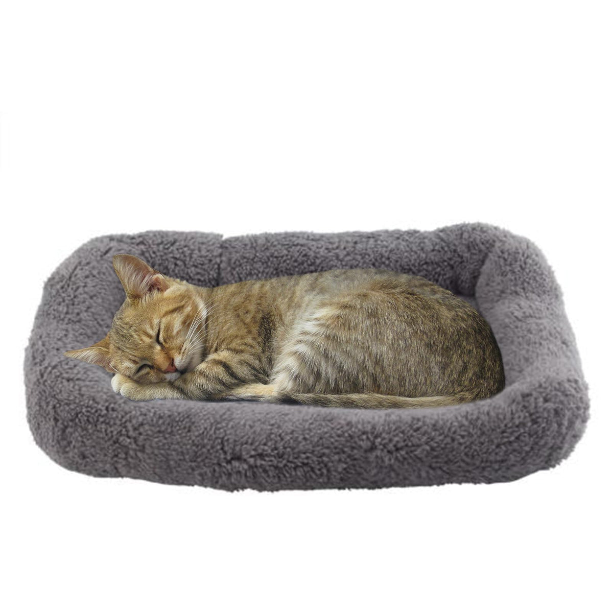 Billionchains cama para gatos suave y acogedora para siestas tranquilas.
