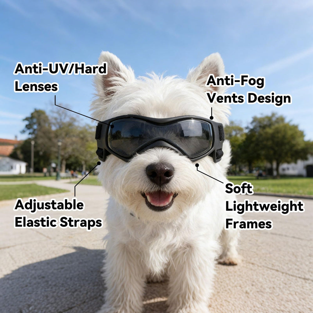 Gafas Billionchains para perro diseñadas para durabilidad en actividades al aire libre