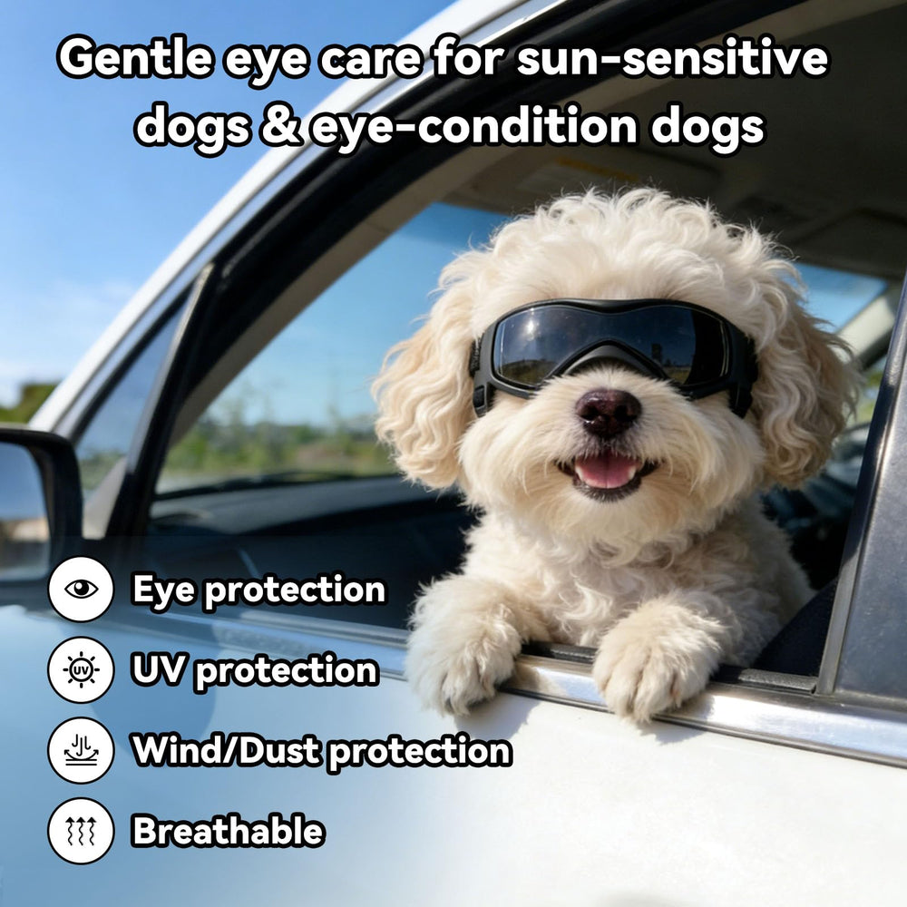 Gafas Billionchains para perro con protección ultravioleta y lentes claras