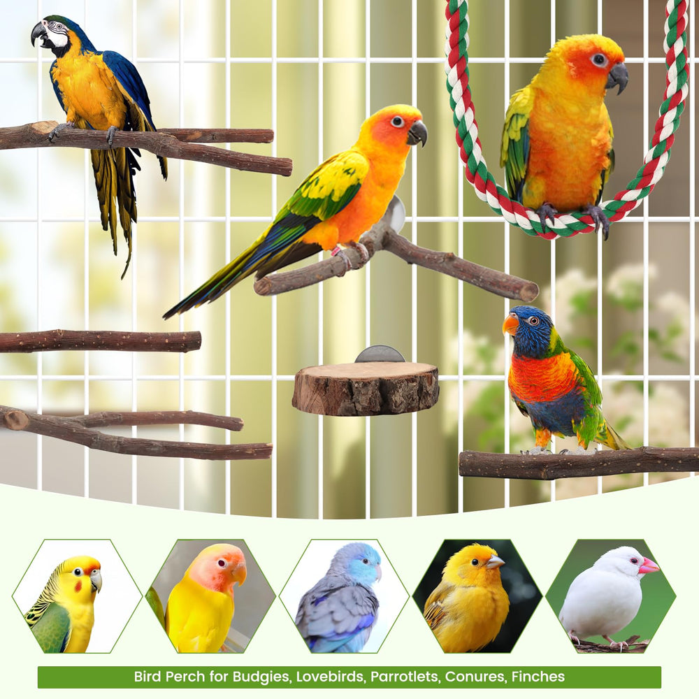 BILLIOTEAM perchas de manzano para aves pequeñas y medianas