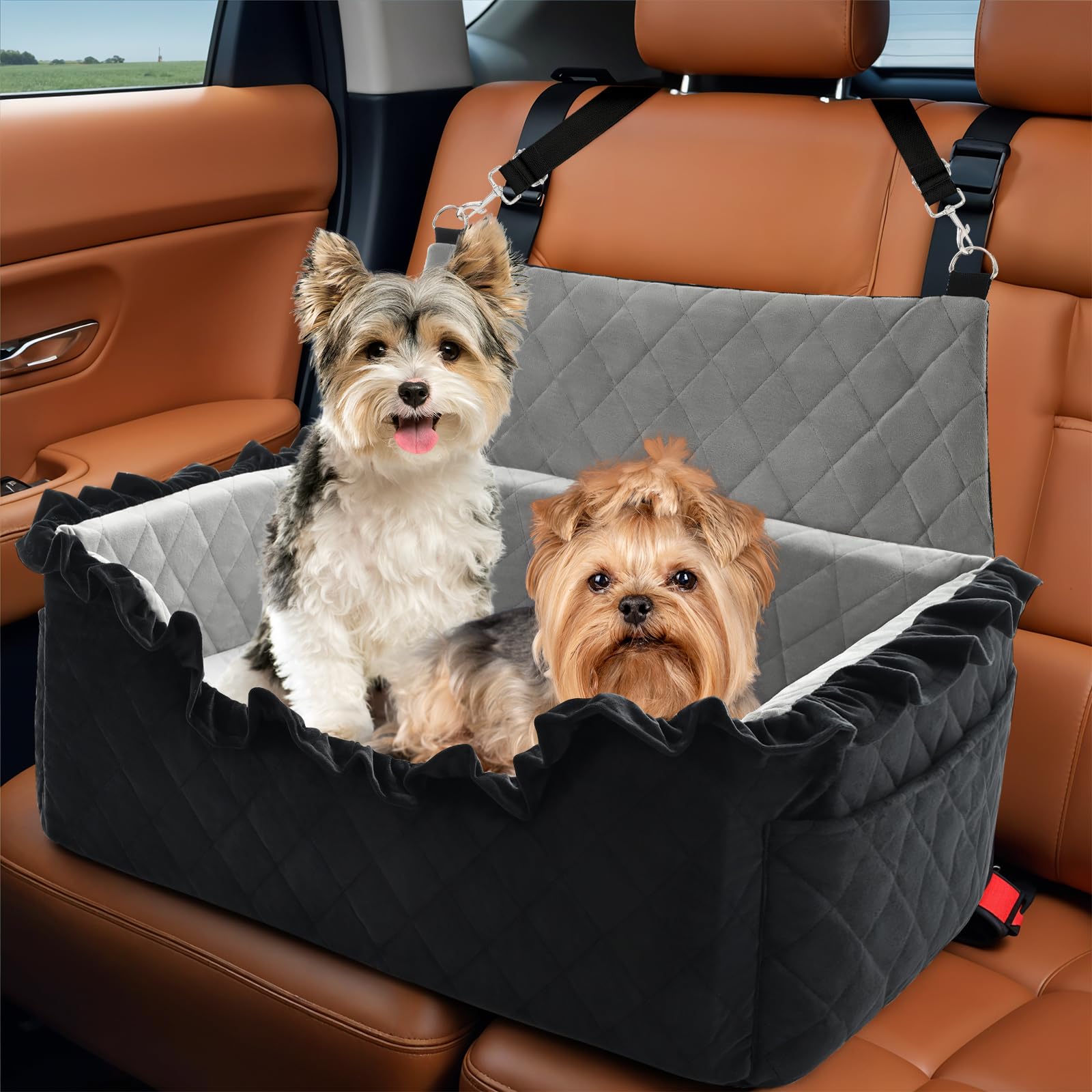 bilypaws asiento-coche-perro-grande eleva la vista para ver el paisaje y reducir ansiedad