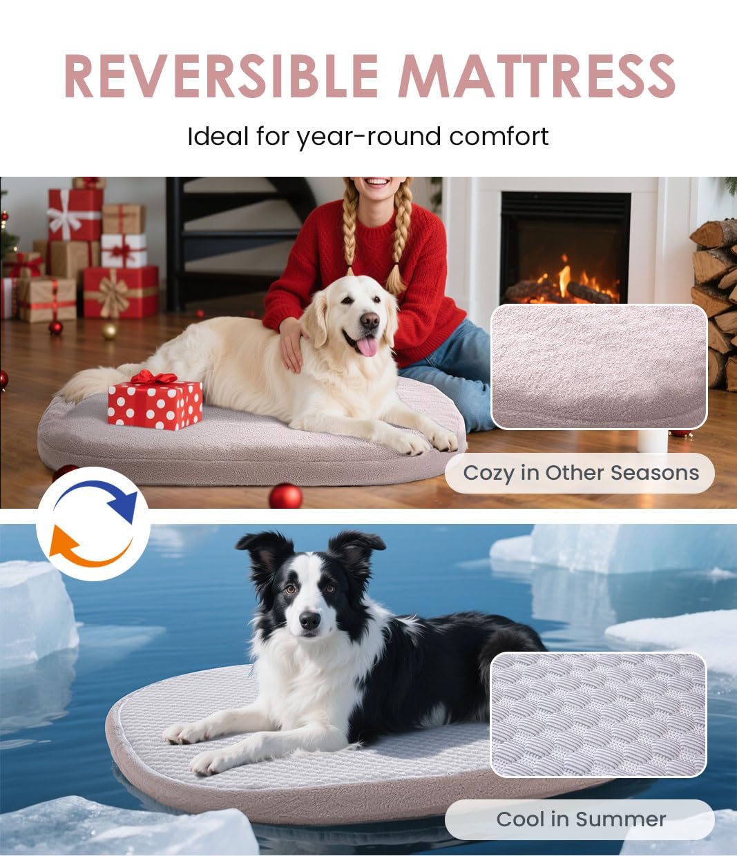 bilypaws funda desmontable lavable facilita higiene y limpieza frecuentes