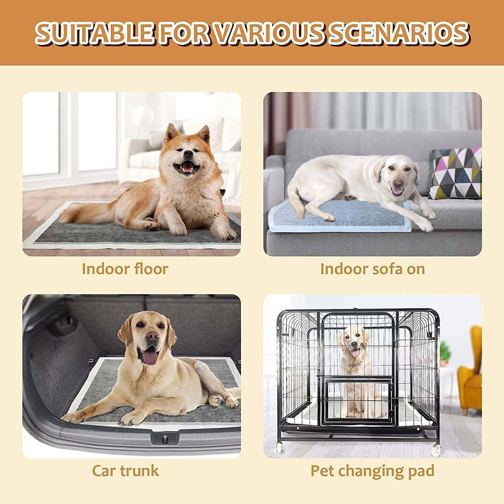 Paquete BinetGo de 35 tapetes desechables para perros.