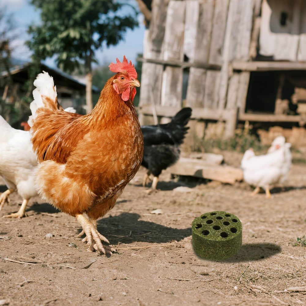 BingegePet uso-diario-jaula-pollos: instalación simple para coop y corral.
