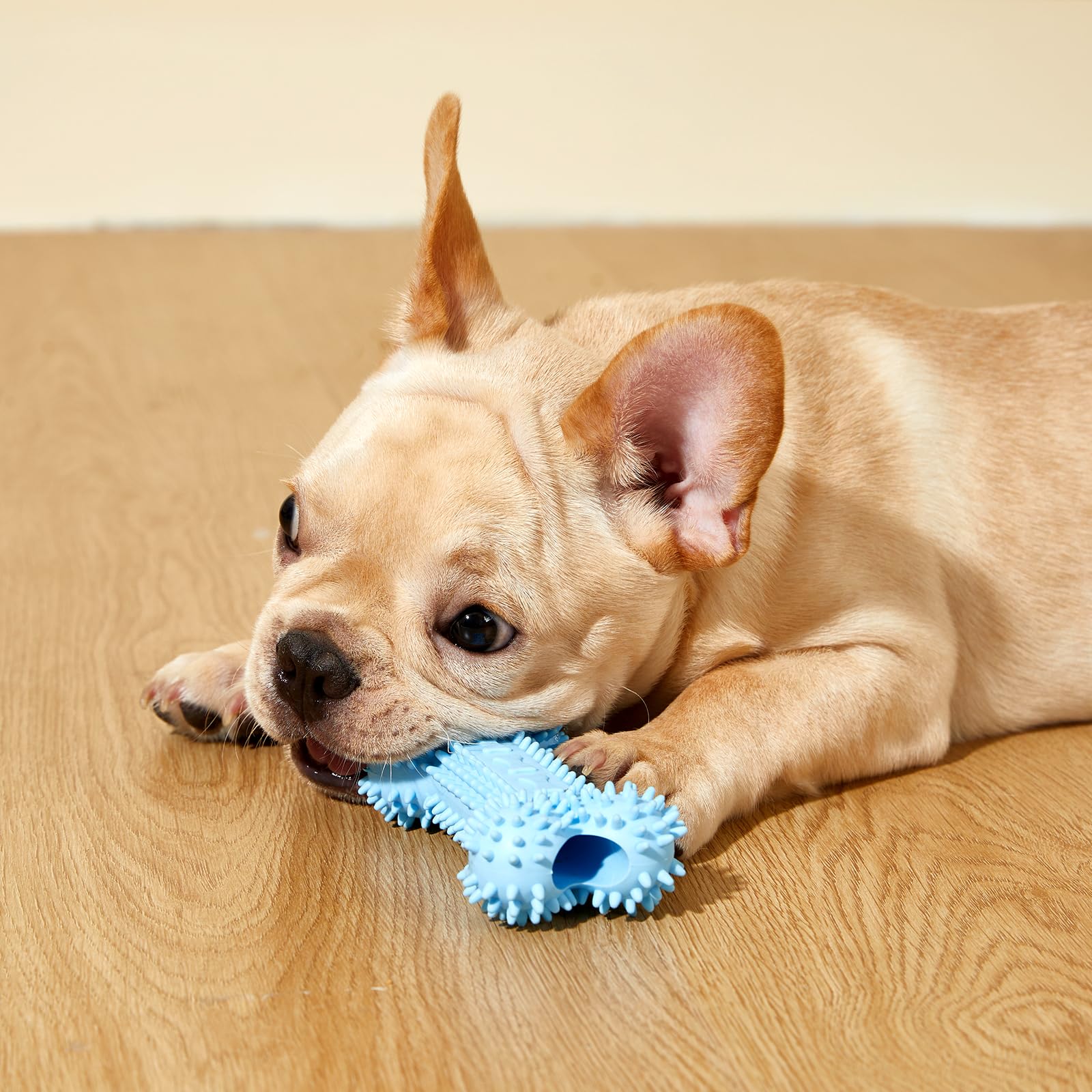 Bininl, regalo perfecto para cachorros pequeños y entretenimiento seguro.