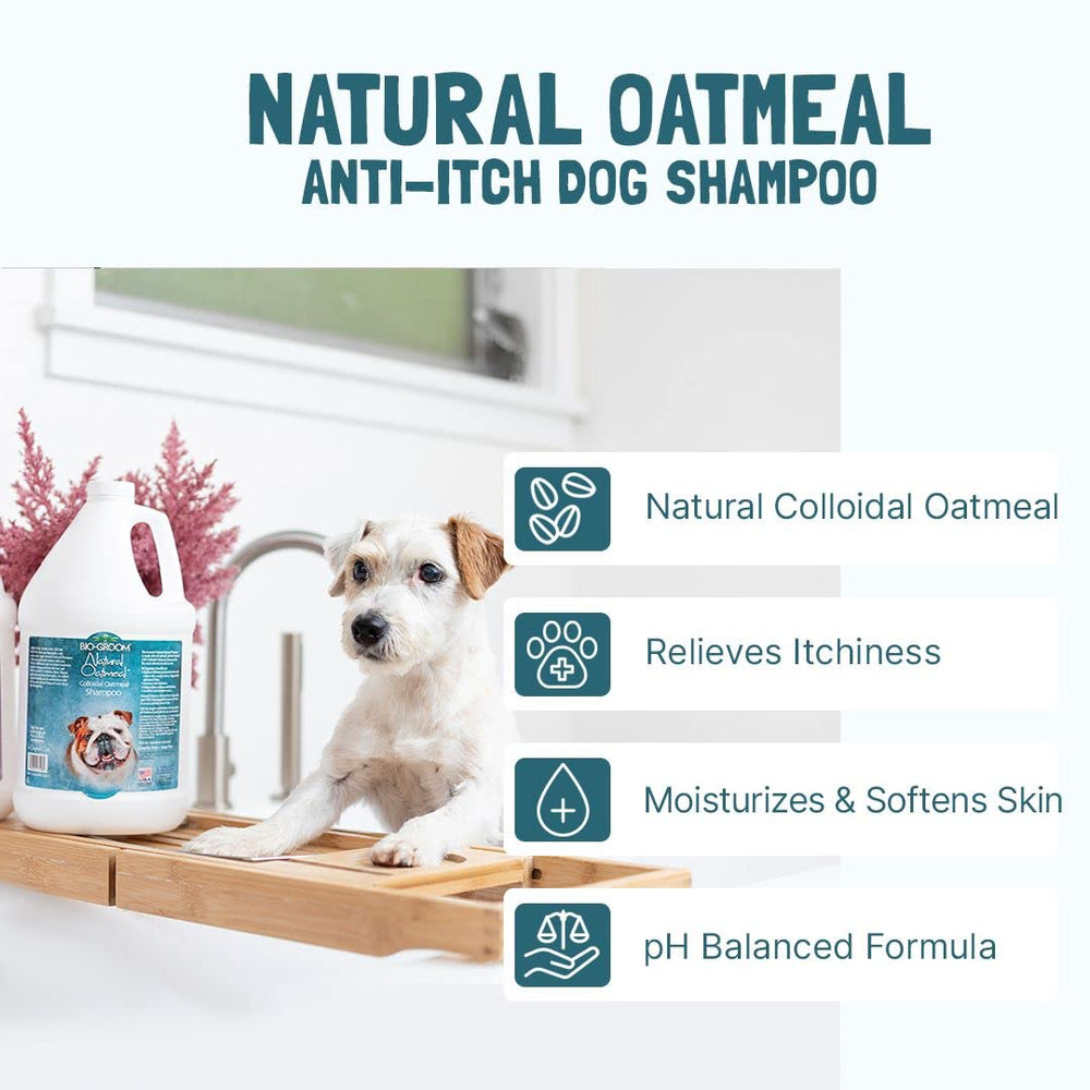 Bio-Groom champú de avena libre de jabón y parabenos para mascotas