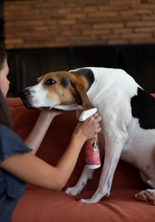 Bio-Groom champú antipulgas para perros y gatos, etiqueta natural y clara.