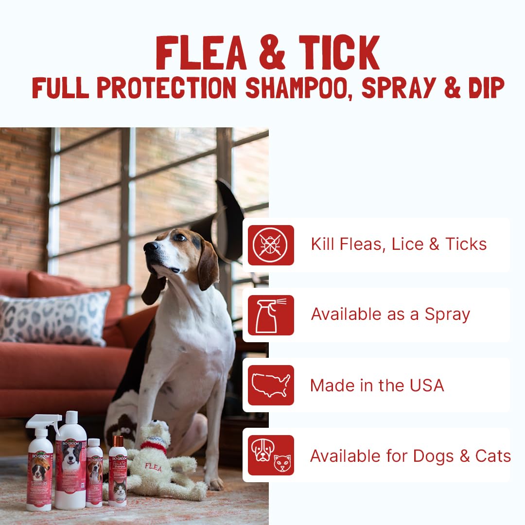Bio-Groom champú antipulgas con espuma abundante para lavado suave.