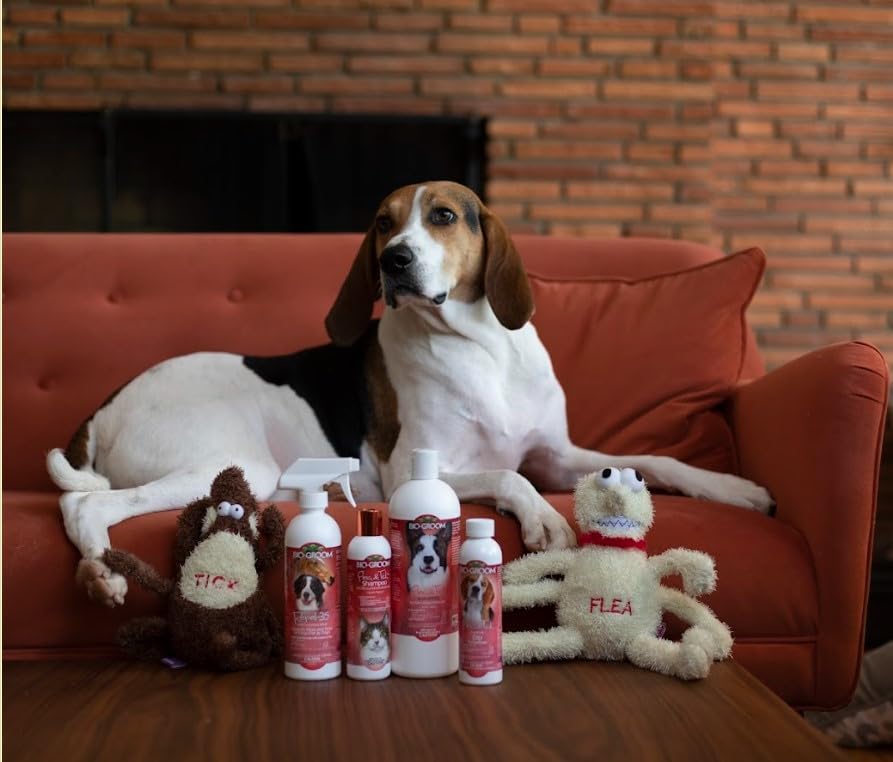 Bio-Groom champú antipulgas para perros, lavado eficiente y rápido.
