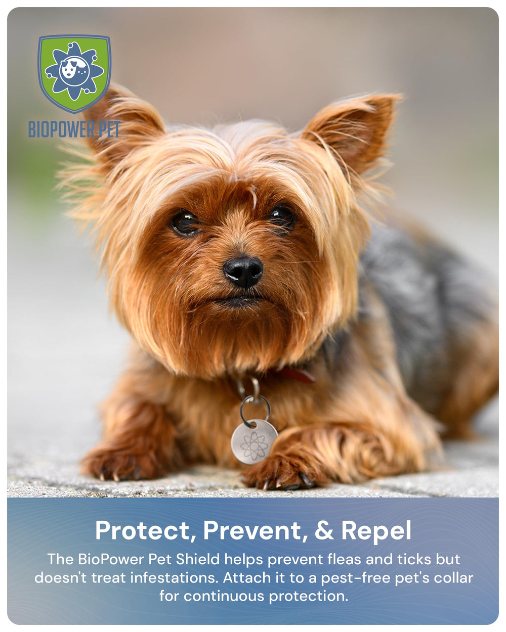 BIOPOWER PET Shield etiqueta regulada, 12 meses de cobertura sin complicaciones