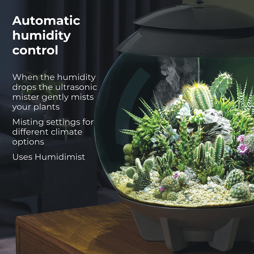 biOrb AIR 30 Paquete incluido: listo para empezar con tus plantas.