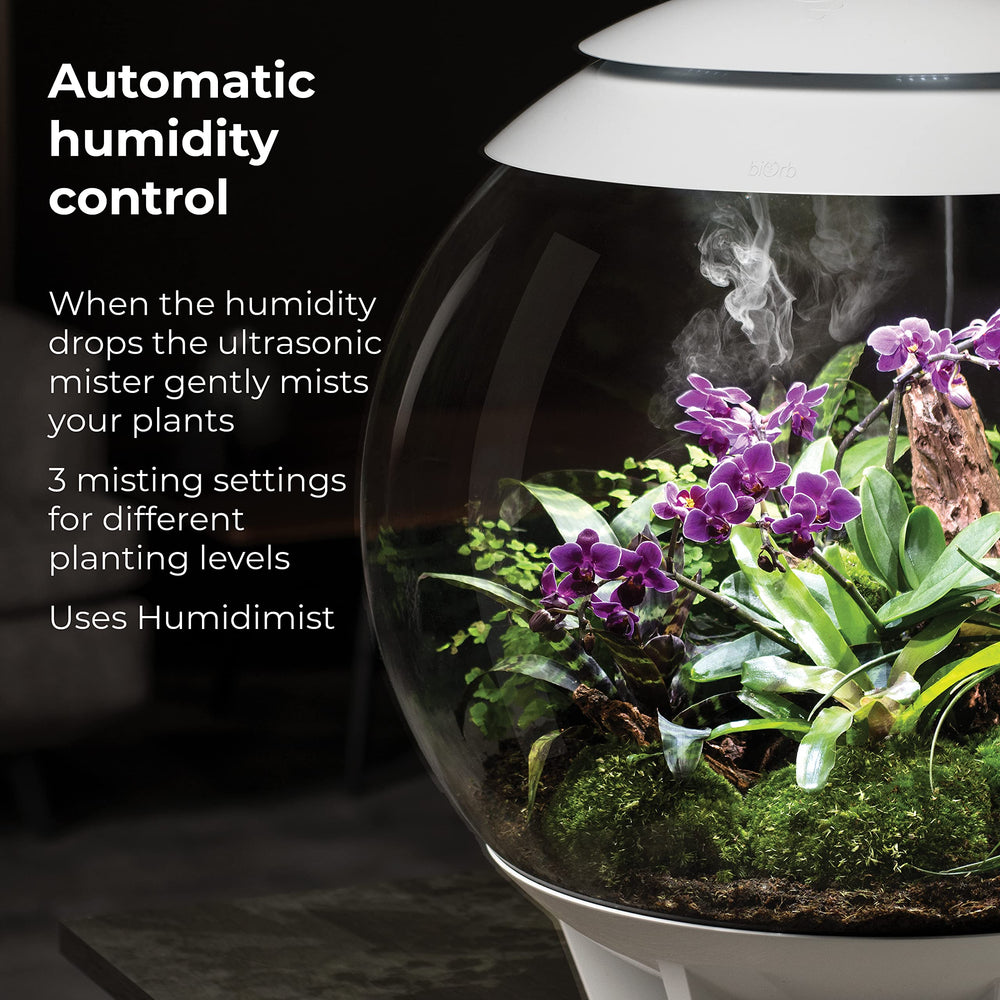 biOrb Aire 60 LED Compost de coco favorece raíces sanas