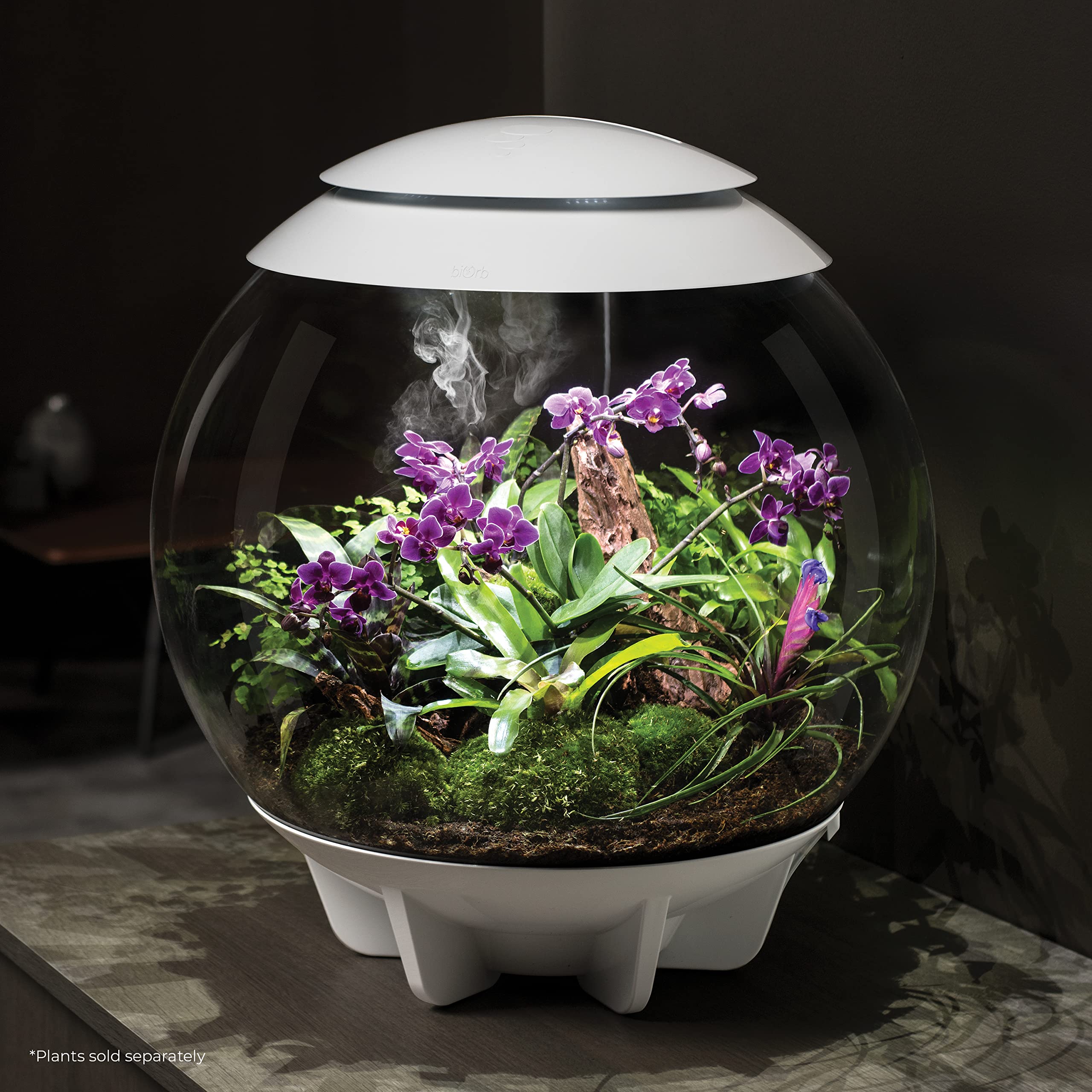 biOrb Aire 60 LED Iluminación automatizada favorece el desarrollo de plantas durante el día