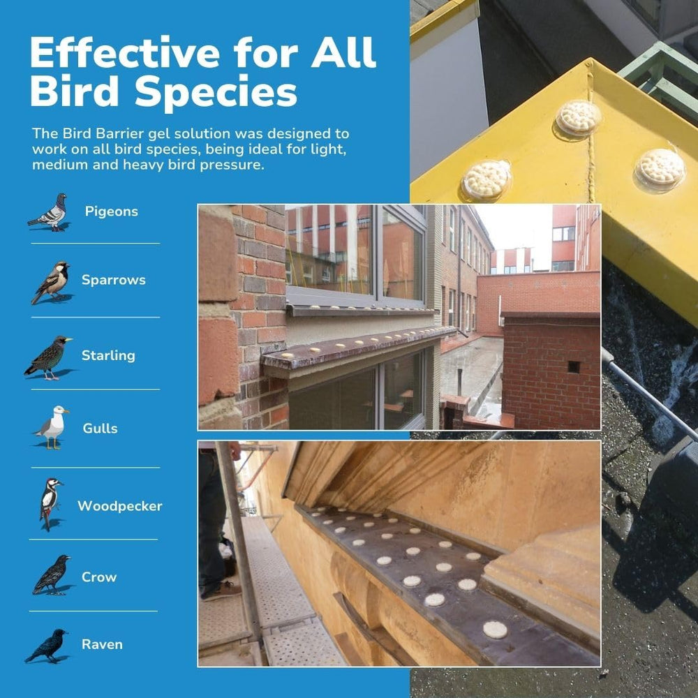 Bird Barrier Optical Gel en barandilla textura pegajosa disuade el acercamiento