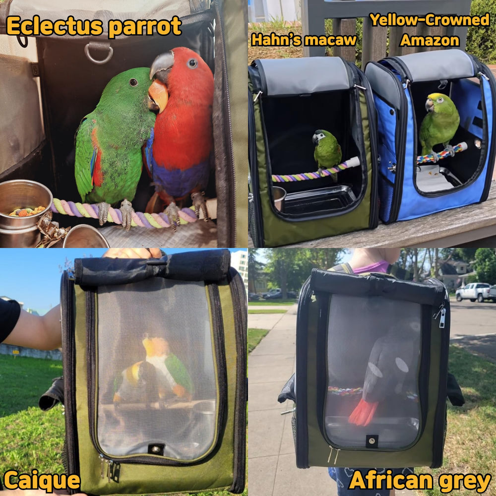 Birds Day correas acolchadas y panel trasero ergonómico facilitan el transporte.