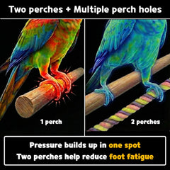 Birds Day dos perchas interiores, permiten alternar agarre y reducir fatiga de las patas.