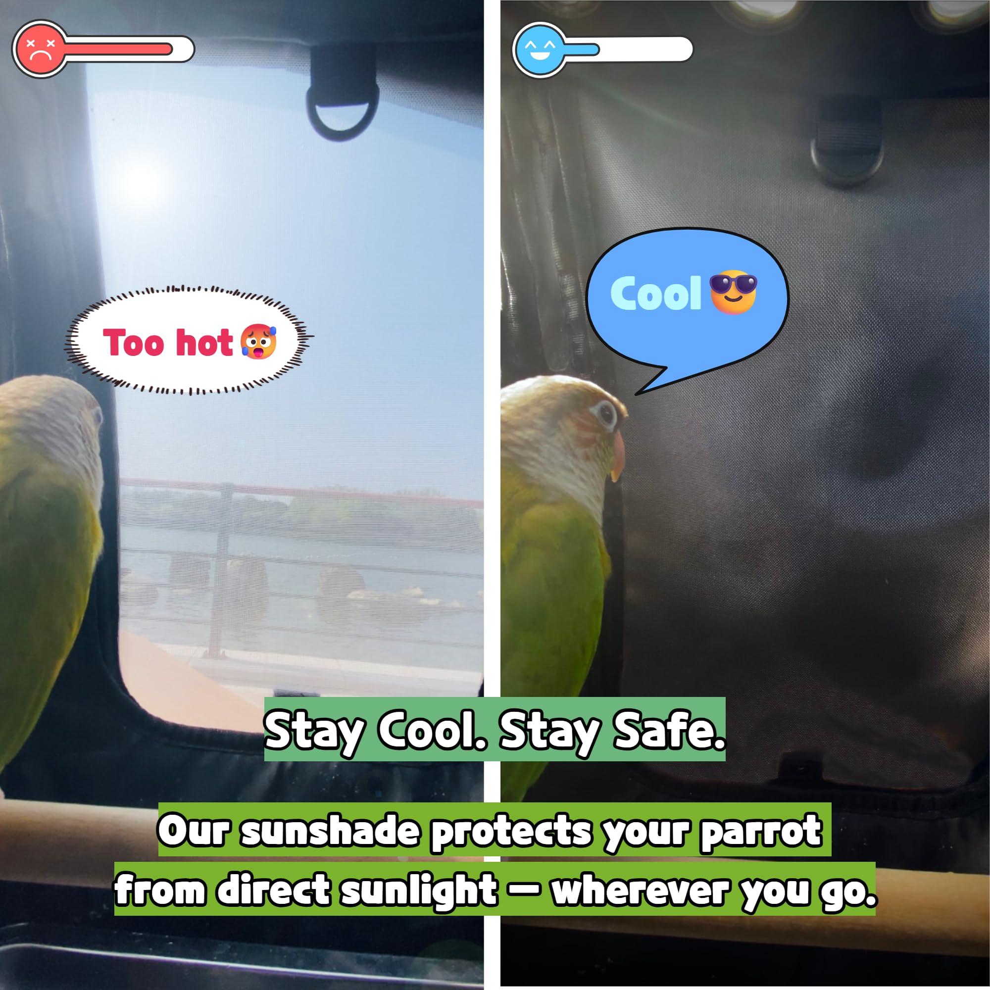 Birds Day tapas cubiertas crean un entorno calmante para viajes tranquilos.