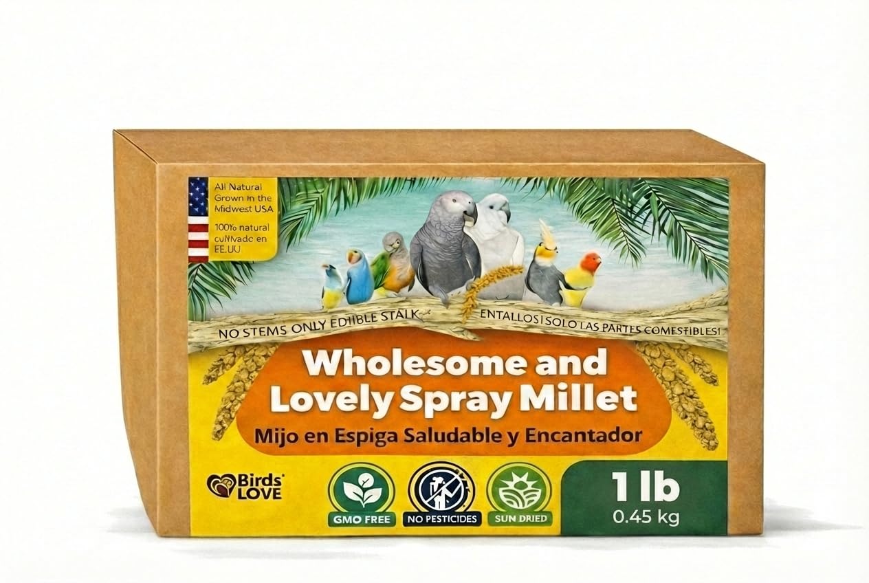 Birds LOVE 1lb mijo en spray en botella para forraje interactivo