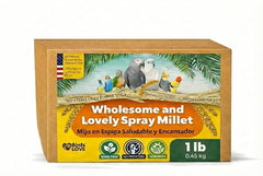 Birds LOVE 1lb mijo en spray en botella para forraje interactivo