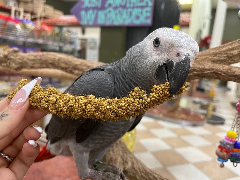 Bolsas de Birds LOVE para almacenamiento fácil y seguro
