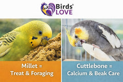 Birds LOVE enriquece el entorno con mijo para aves, ideal para entrenamiento y vínculo.