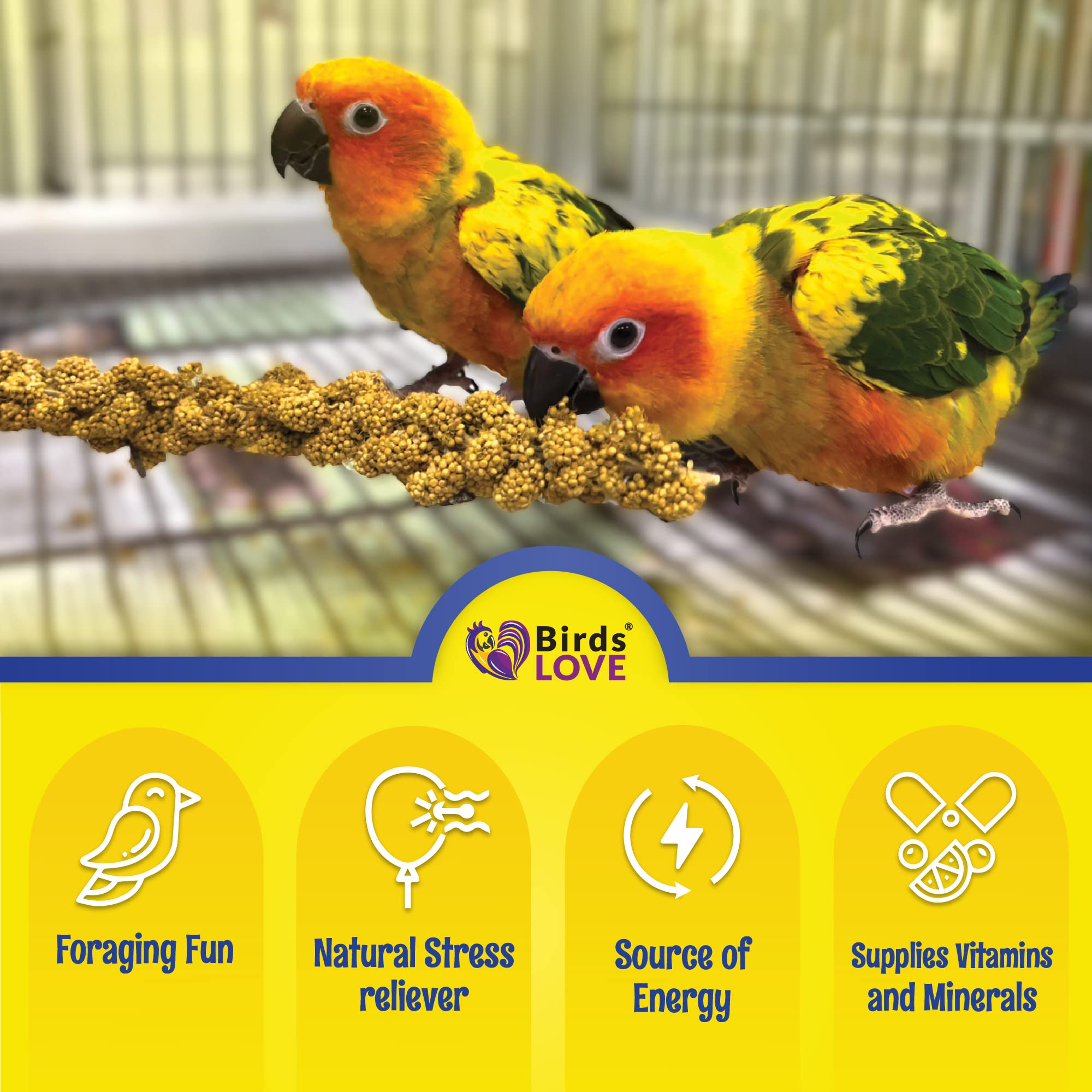 Germina spray millet Birds LOVE para brotes de mijo