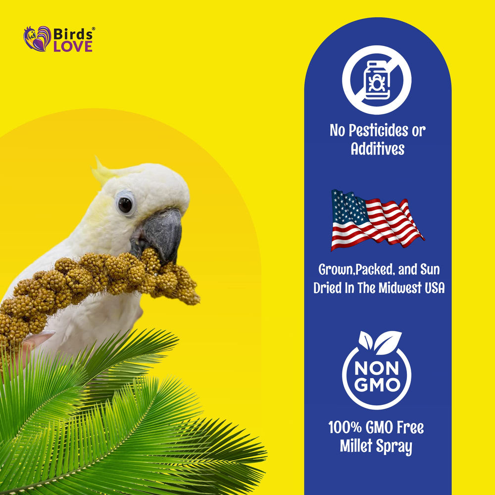 Birds LOVE germinar mijo para brotes y mayor diversidad dietética