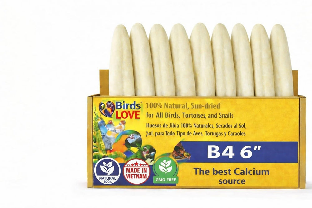 Birds LOVE cuttlebone natural secado al sol para aves, calcio esencial.