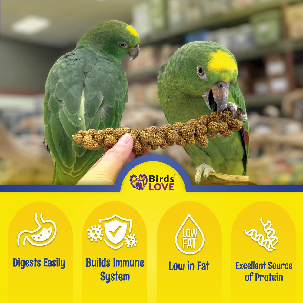 Birds LOVE mijo entero sin tallos: opción sin desperdicio para aves
