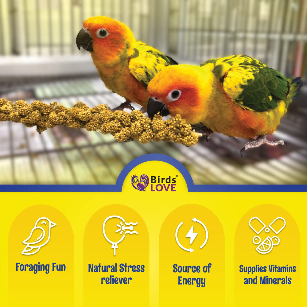 Birds LOVE mijo para aves granívoras, complemento nutritivo diario.