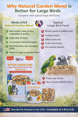 Birds LOVE semillas coloridas y nutritivas para loros, que atraen la atención durante la comida.