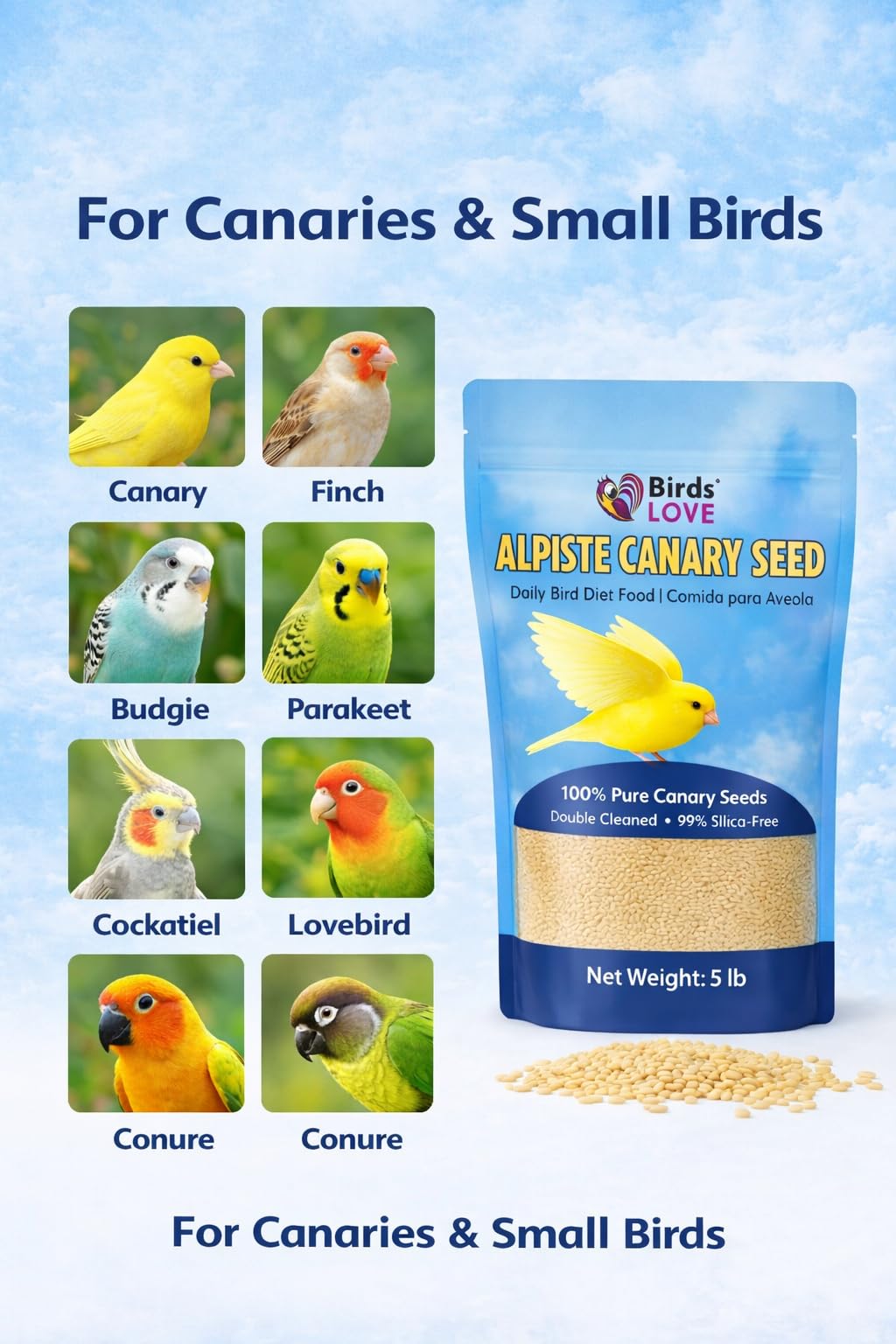 Birds LOVE sin polvo y residuos, experiencia de alimentación más limpia