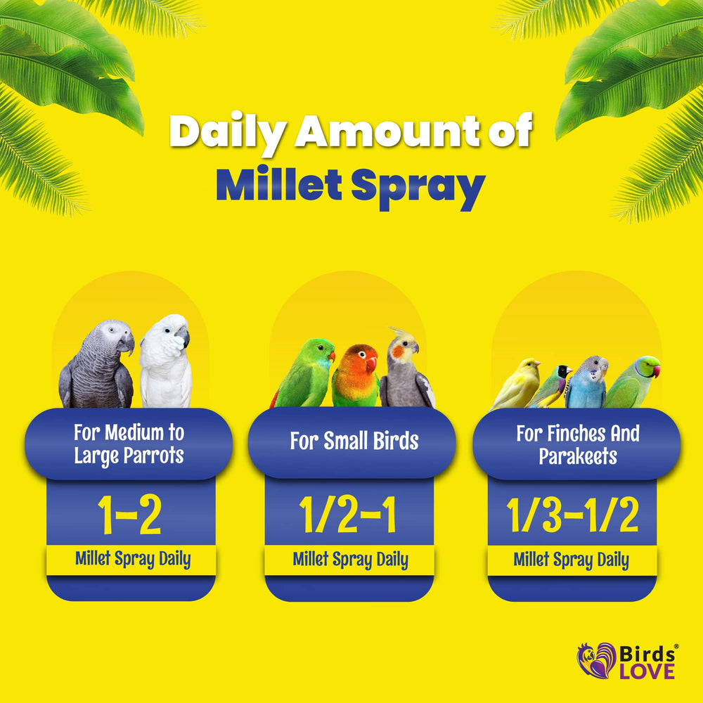 Birds LOVE snack nutritivo de mijo: fuente de carbohidratos y fibra