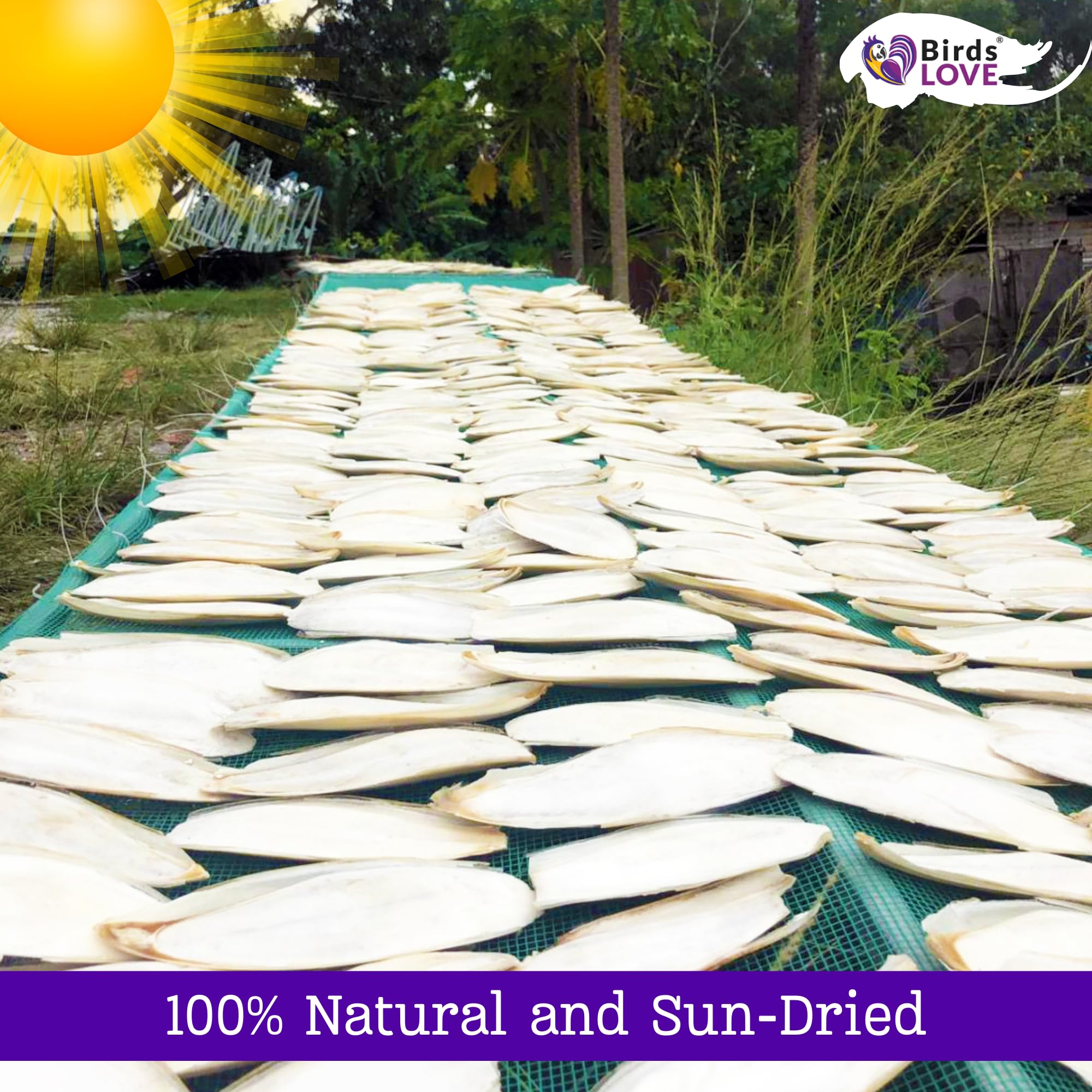 Birds LOVE uso multiespecie, apto para aves y tortugas.