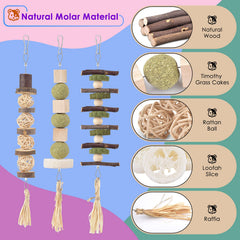 Bolas de heno Bissap colgante, apoyo digestivo y snack natural para roedores.