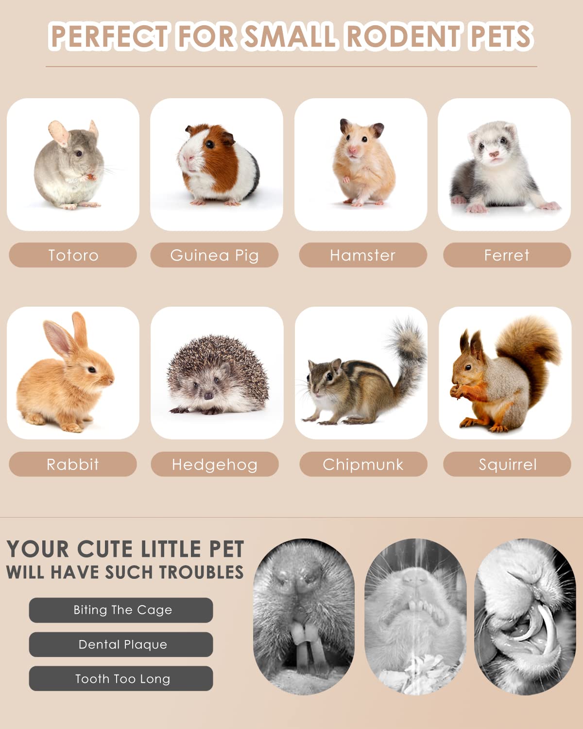 Bissap Bunny: regalo perfecto para mascotas y decoración de jaula