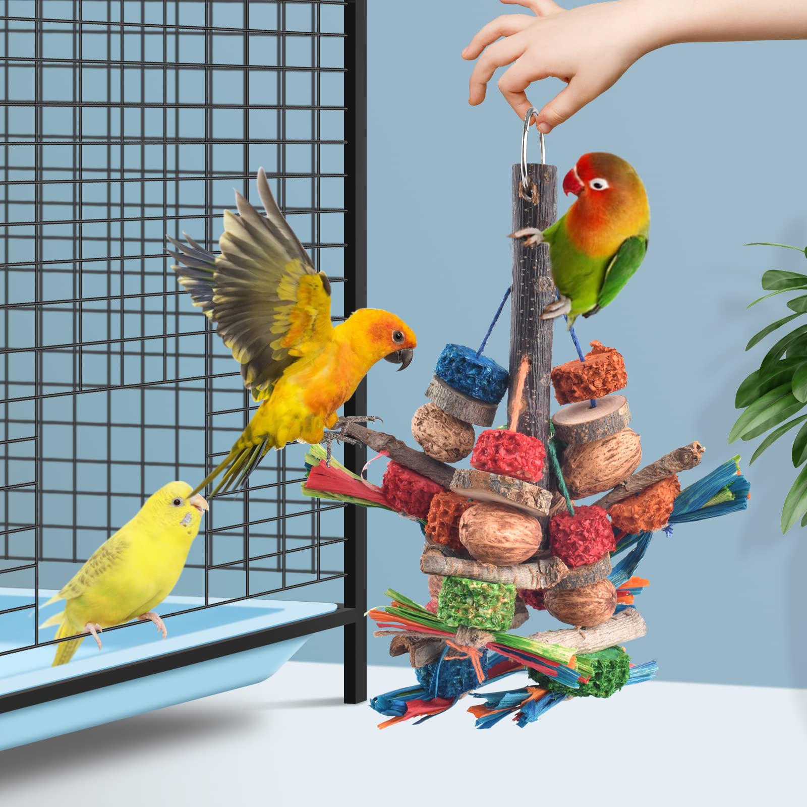 Juego de forraje para aves Bissap para mantener activas.